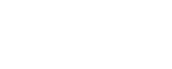 Flipkart logo dark